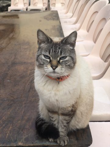 Image Exposition collective au Musée Palalda