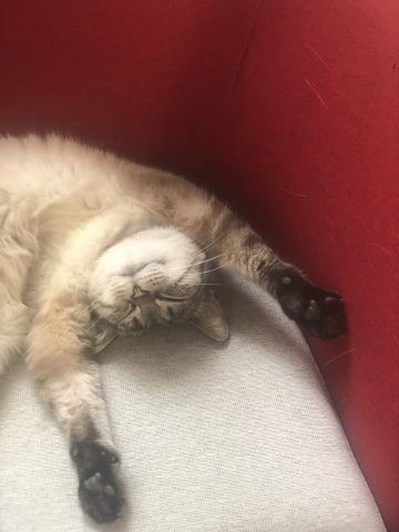 Image Exposition collective au Musée Palalda